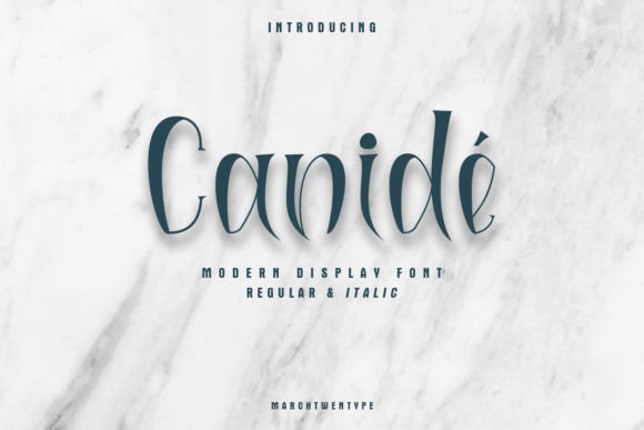 Canidé: A Modern Display Font for Bold Web Typography